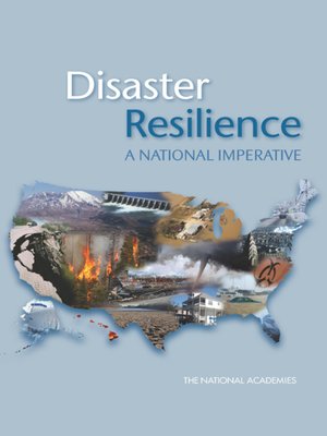 cover image of Disaster Resilience
